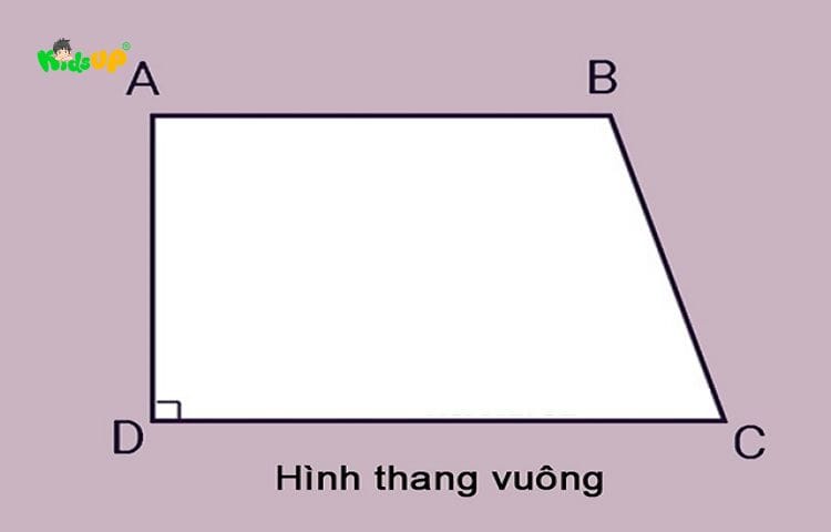 Dạng bài tập về tính chất hình thang