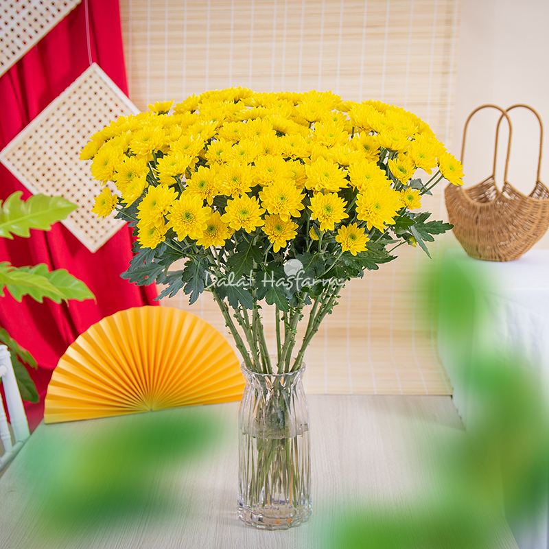 Combo 10 Bó Hoa Cúc Nhánh Vàng