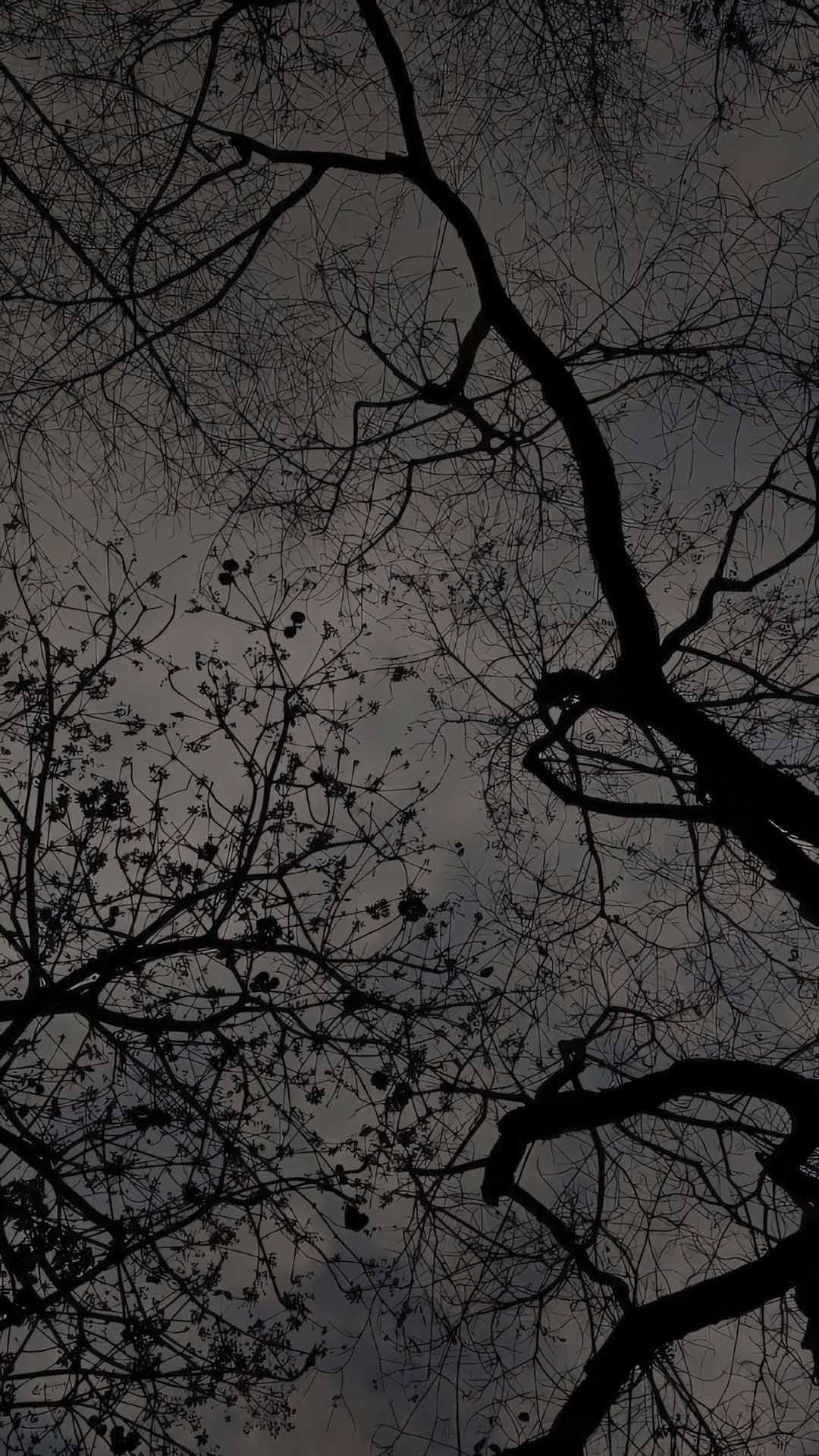 anh hoa cay coi buon 1920px 1080px full hd 1