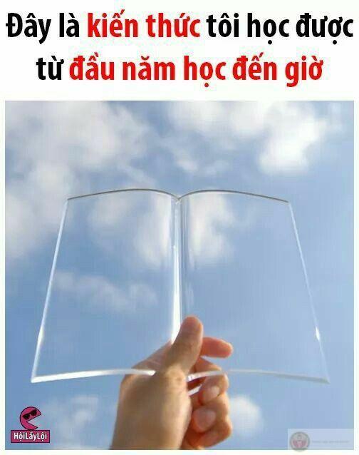 Meme học bài hài hước biến những giờ ôn thi căng thẳng thành khoảnh khắc cười sảng khoái
