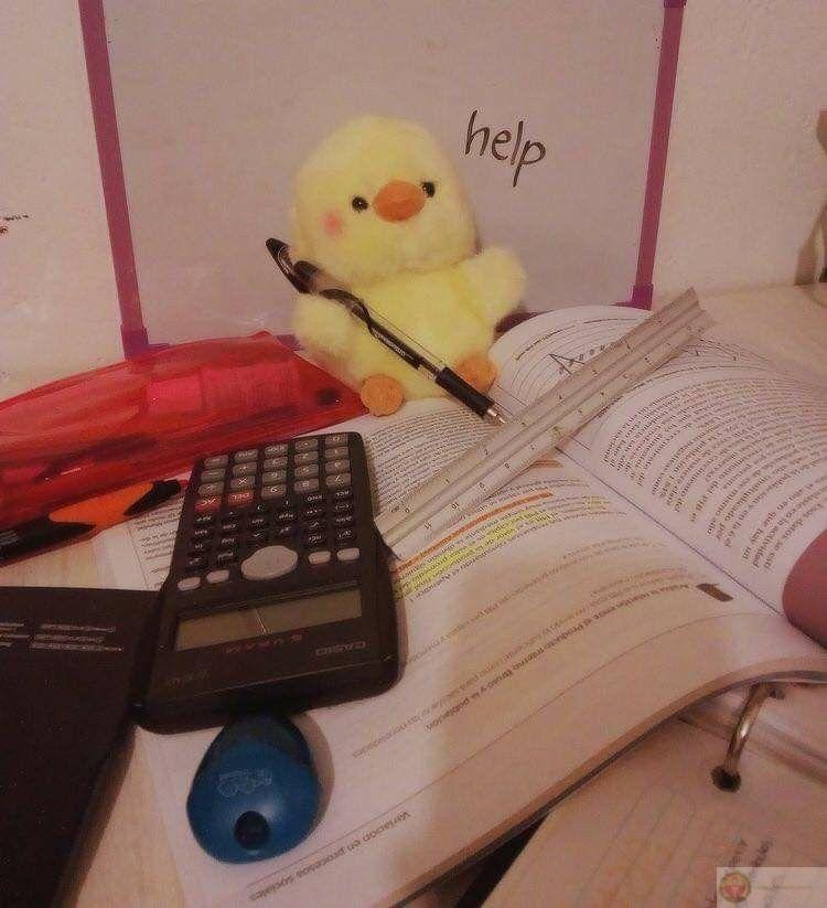 Meme học bài chế lầy lội khiến cộng đồng học sinh chia sẻ rầm rộ mỗi mùa thi