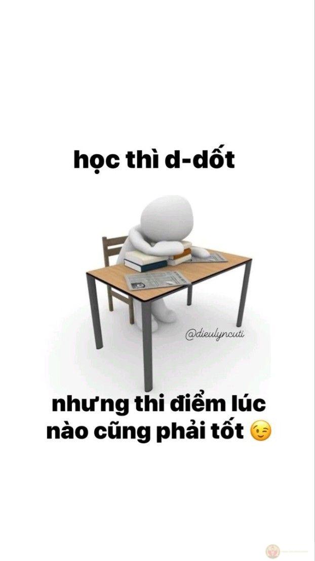 Meme học bài độc đáo thường mô tả cảnh vật vã với sách vở đầy chân thực và buồn cười