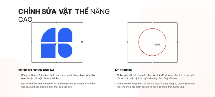 Lộ trình học Illustrator từ cơ bản cho người mới bắt đầu - Thực hành các công cụ cơ bản