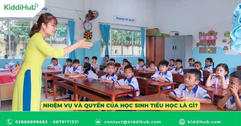 Trẻ học lớp 4 mấy tuổi? Sinh vào năm nào?