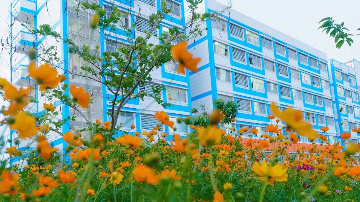 Mức học phí theo tín chỉ của trường Đại học Giao thông vận tải thay đổi theo từng năm