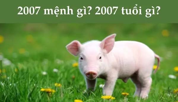 tìm hiểu 2k7 học lớp mấy