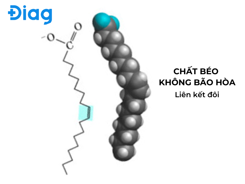 Chất béo không bão hòa có tốt không và có trong thực phẩm nào?