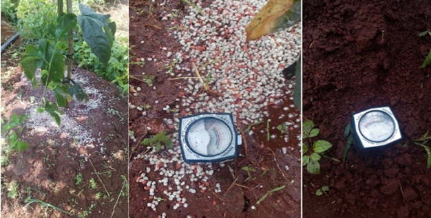 Đất trồng bị chua và cách khắc phục