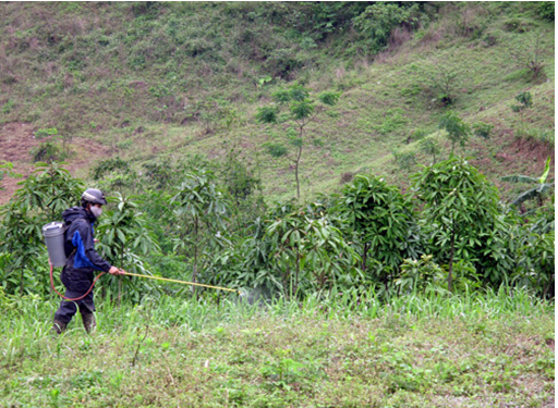 Đất trồng bị chua và cách khắc phục