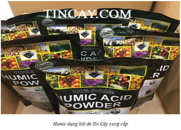 Phân hữu cơ Humic 95% Acid Powder