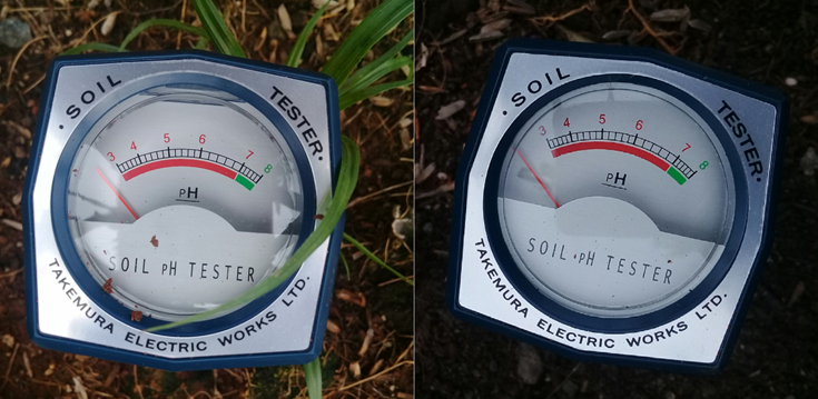 Đất Trồng Bị Chua Và Cách Khắc Phục