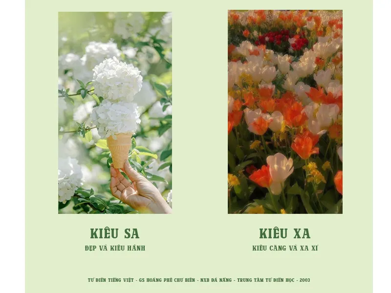 "Kiêu sa" và "kiêu xa", từ nào mới đúng chính tả? 3