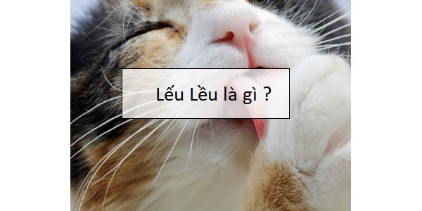 Lếu Lều Là gì - Đỏ Mặt với ý nghĩa chat ngầm ý của tuổi Teen