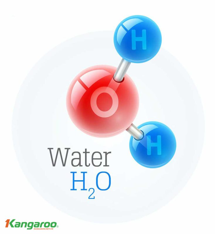 Liên kết Hidro là gì? Những điều thú vị về liên kết Hydro