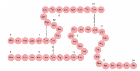 Cấu tạo peptit và protein