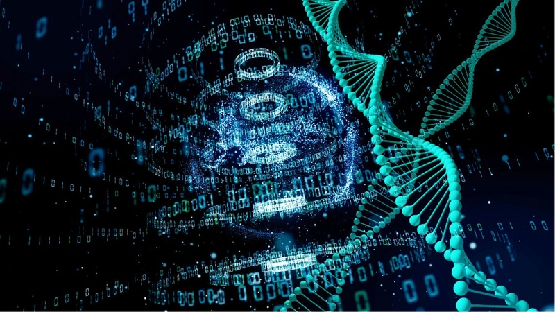 Mã di truyền là gì? “Giải mã” ngôn ngữ bí ẩn của sự sống