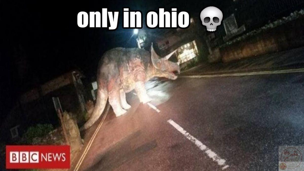 Sự đơn giản trong cách thể hiện lại chính là điểm tạo nên sức hút đặc biệt