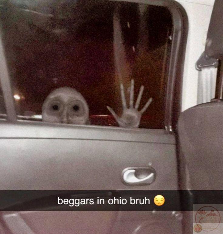 Bộ ảnh chế đã trở thành một trong những xu hướng giải trí được ưa chuộng lâu dài