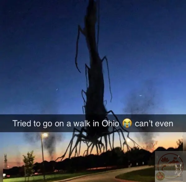 Nội dung này minh chứng cho khả năng biến mọi chi tiết thành yếu tố hài hước