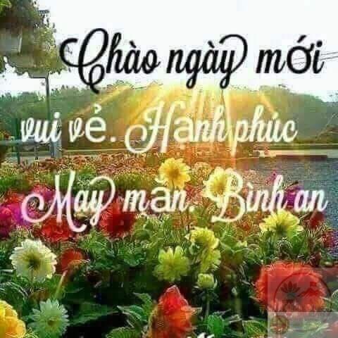 Một ngày mới tốt lành bắt đầu bằng câu chào vui nhộn từ những tấm meme