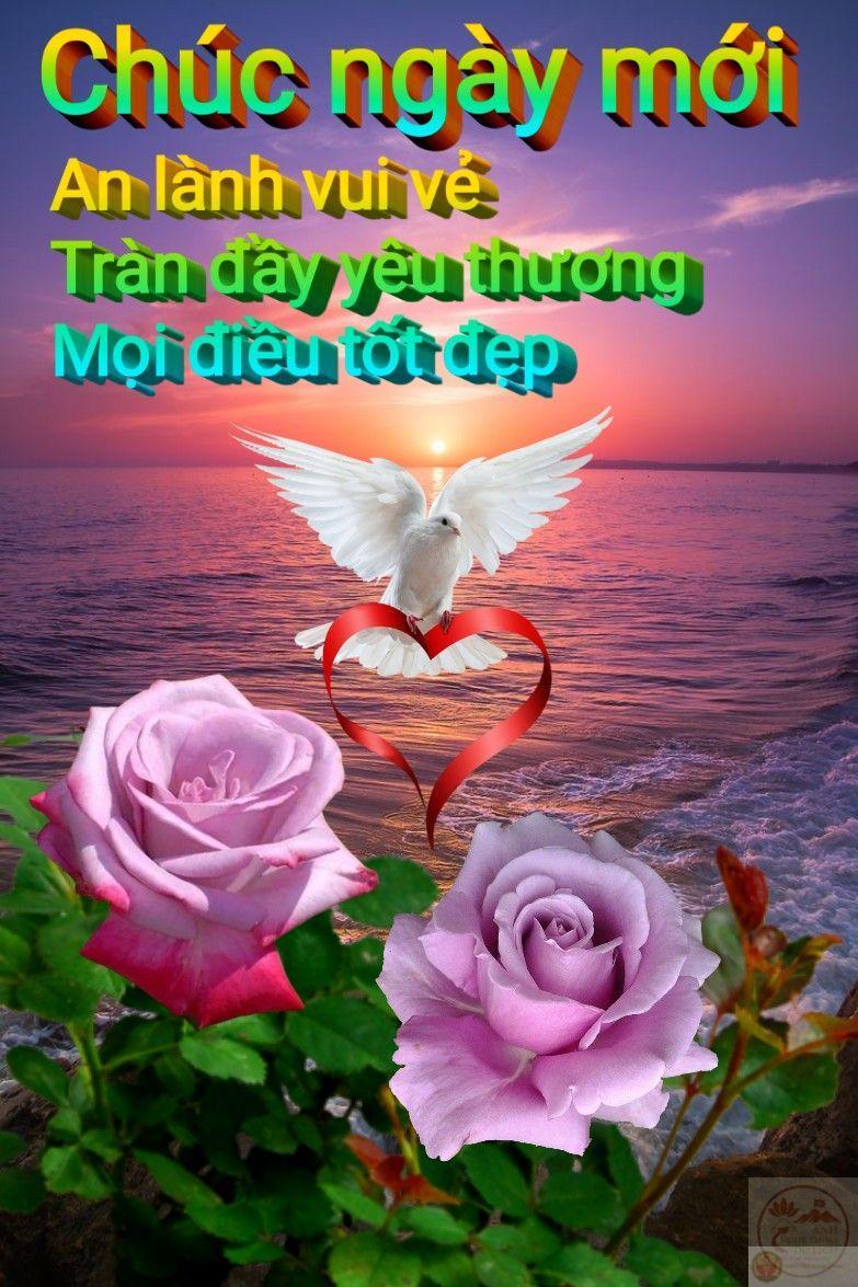 Cảm giác nhận được ảnh chế buổi sáng khiến tinh thần ai cũng phấn chấn