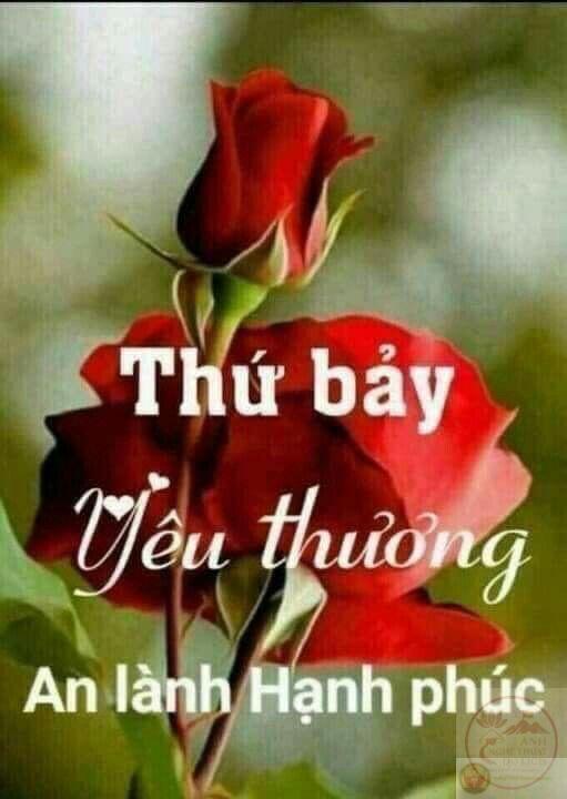 Một tách cà phê sáng sớm cùng lời chúc giúp tuần tràn đầy năng lượng mới