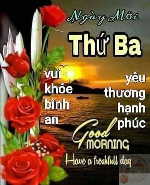 Chào các ngày trong tuần bằng sự hài hước luôn mang lại tiếng cười bất ngờ