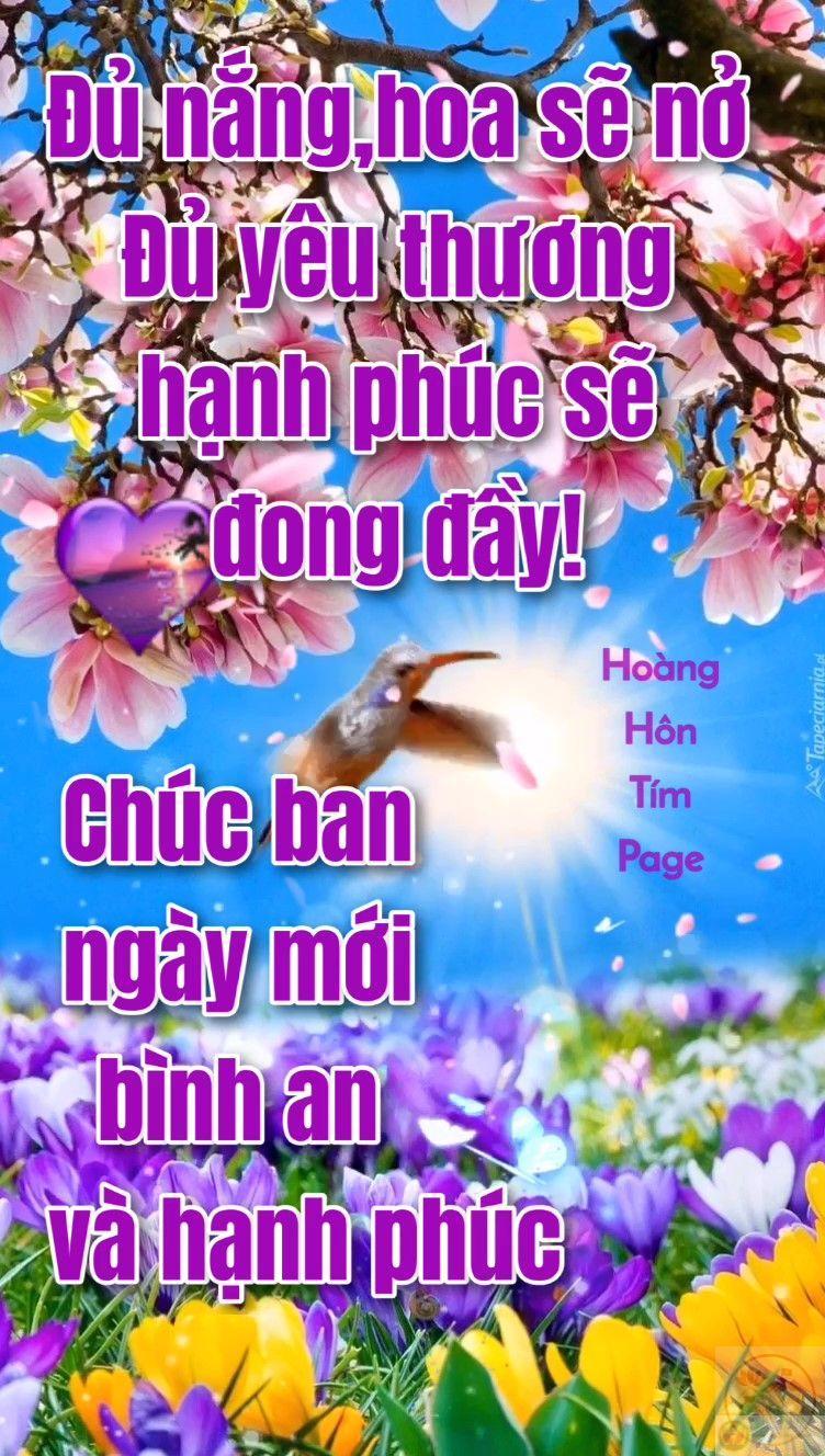 Chào ngày mới với nụ cười rạng rỡ là bí quyết để sống vui mỗi ngày