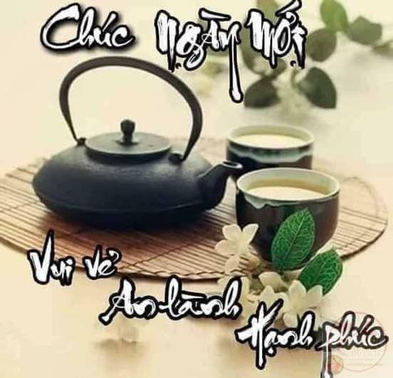 Năng lượng tích cực với 140+ meme chào buổi sáng, ngày mới