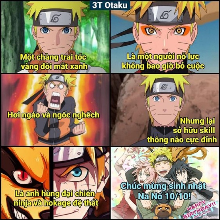 Meme gấu trúc chúc mừng sinh nhật