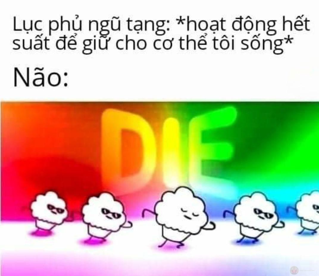 Ảnh meme dark nhất