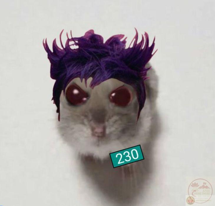 Người dùng thường cắt ghép cảnh phim để tạo nên những meme cực kỳ độc đáo