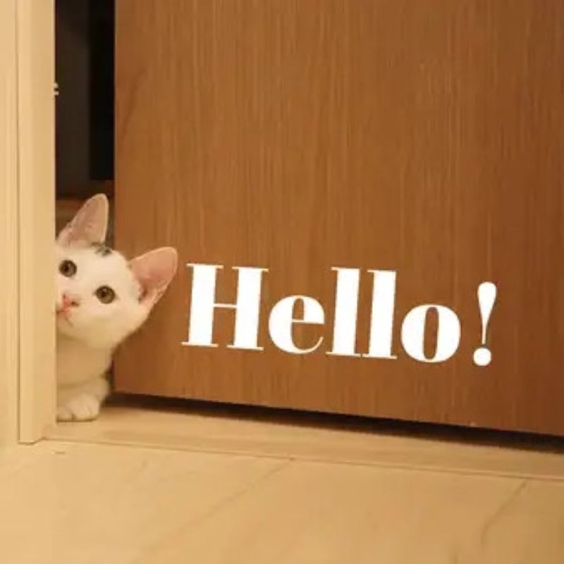 Meme mèo xin chào lấp ló đáng yêu nhất