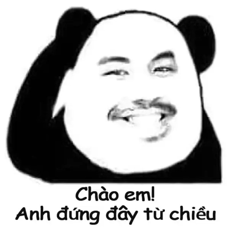 meme xin chào