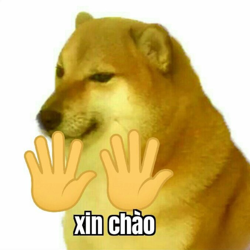 Meme chú chó xin chào hài hước