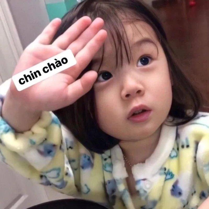 Tải ngay 99+ meme xin chào cực cute, dễ thương, hài hước