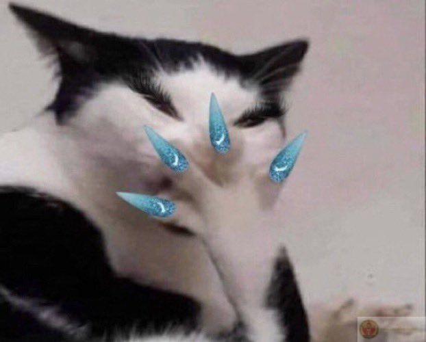 Ngồi nhìn tường như đang học triết học