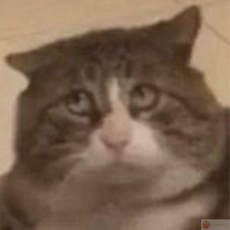 Ngồi yên cũng tạo drama cho cả nhà