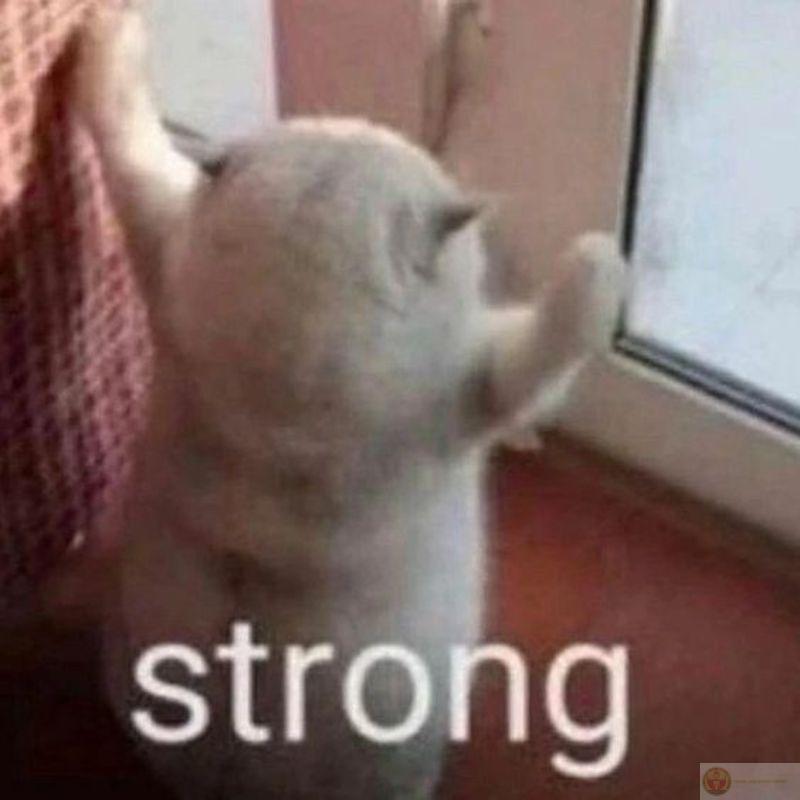 Thích nằm đúng chỗ người ta cần ngồi