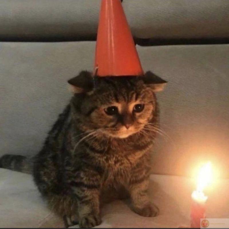 Tỏ vẻ bơ đời nhưng hay giật mình vô lý