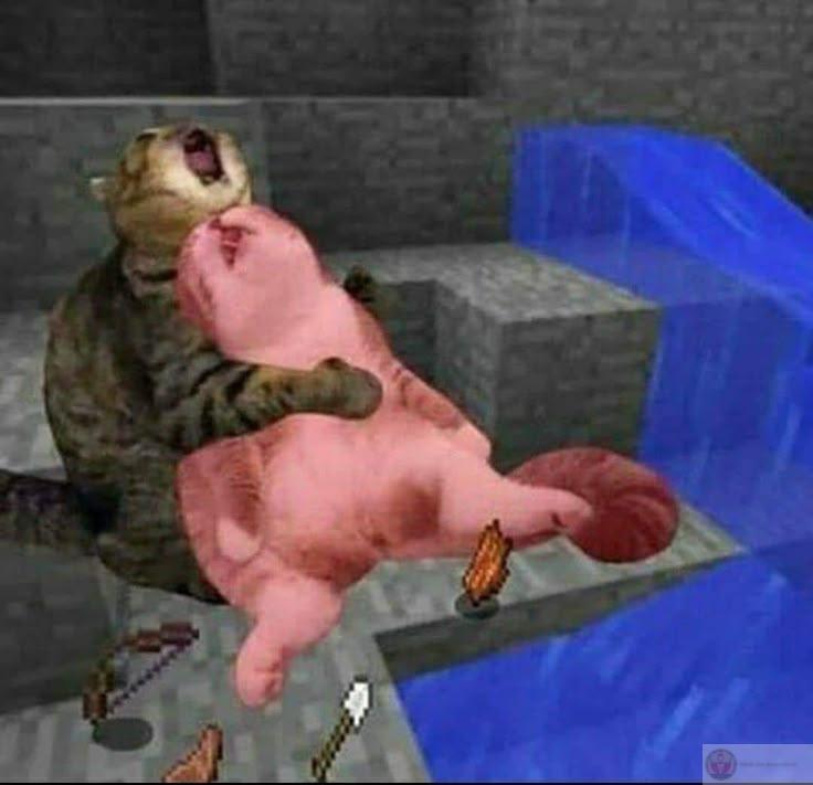 Vừa kêu đói xong đã nằm ngủ quên