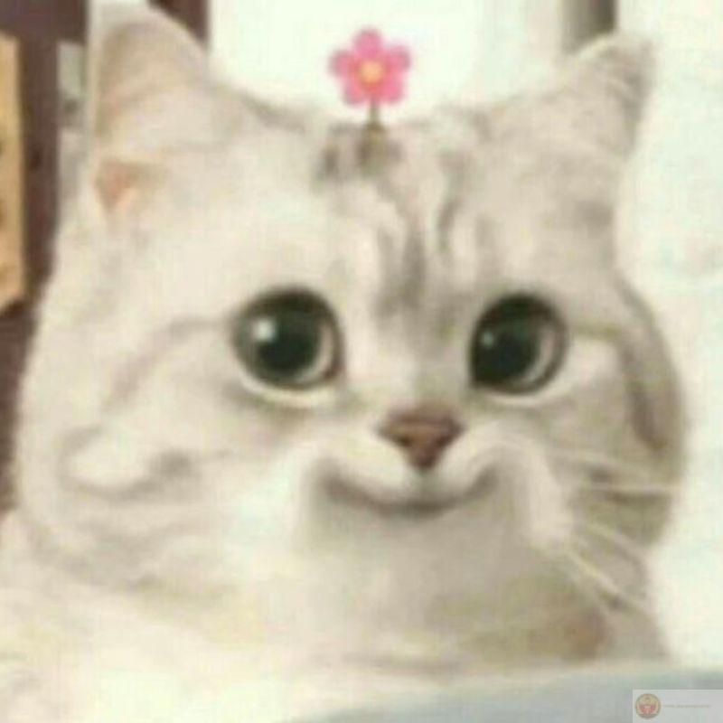 Chỉ cần liếc nhẹ là cả nhà im lặng