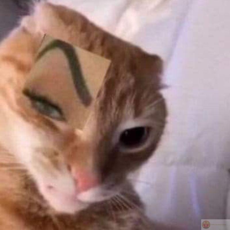 Đang ngồi yên tự dưng nổi khùng không lý do