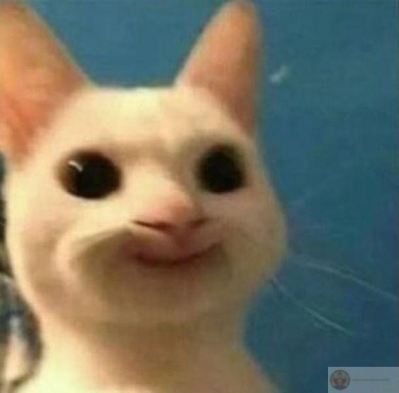 Giả ngơ nhưng phản xạ cực kỳ nhanh nhạy