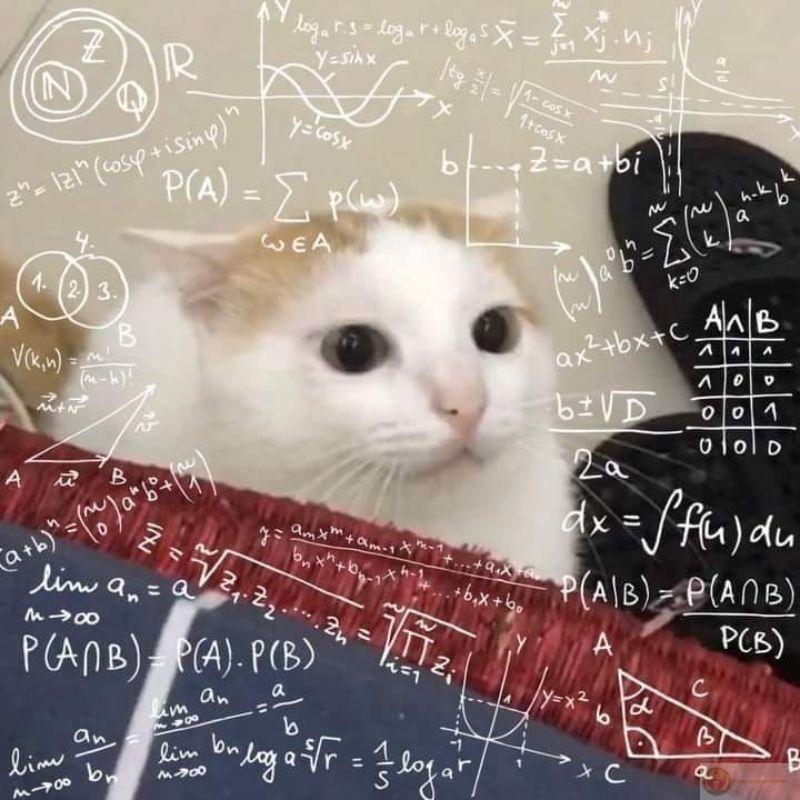 Lúc cần thì không thấy, lúc bày là xuất hiện