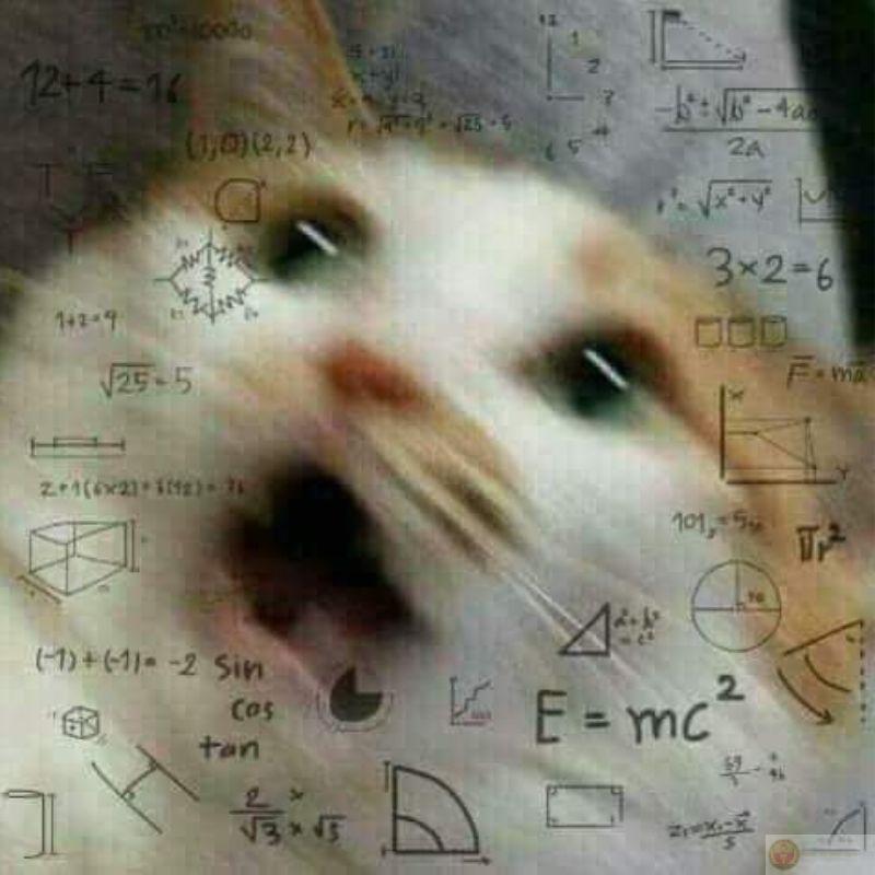 Lúc ngủ đáng yêu, lúc thức thì cà chớn