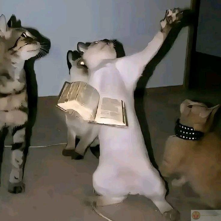 Không thích chơi với ai nhưng vẫn muốn quan tâm