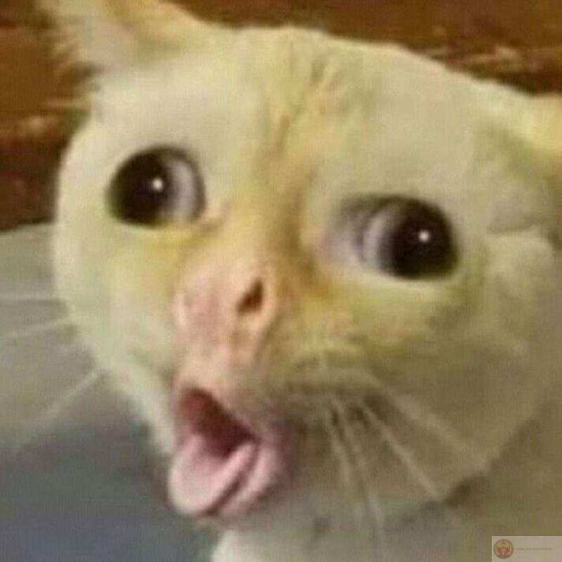 Kêu ầm trời nhưng chỉ để mở cửa