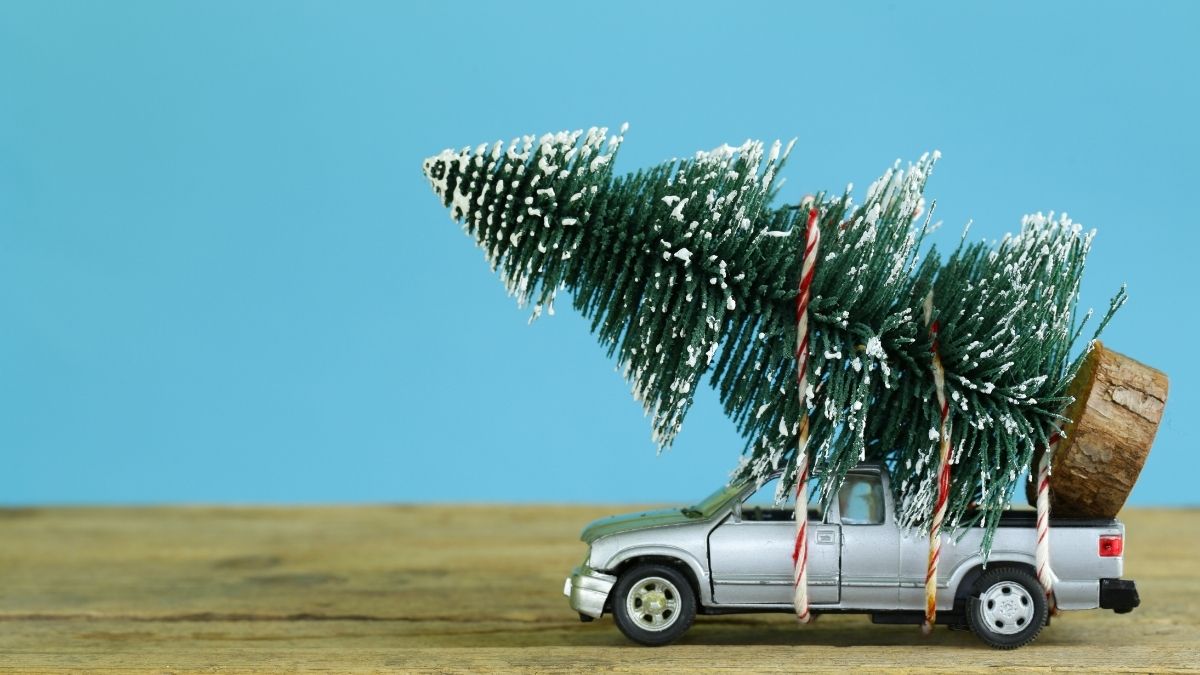 Hình ảnh về cây thông sáng tạo mùa Noel