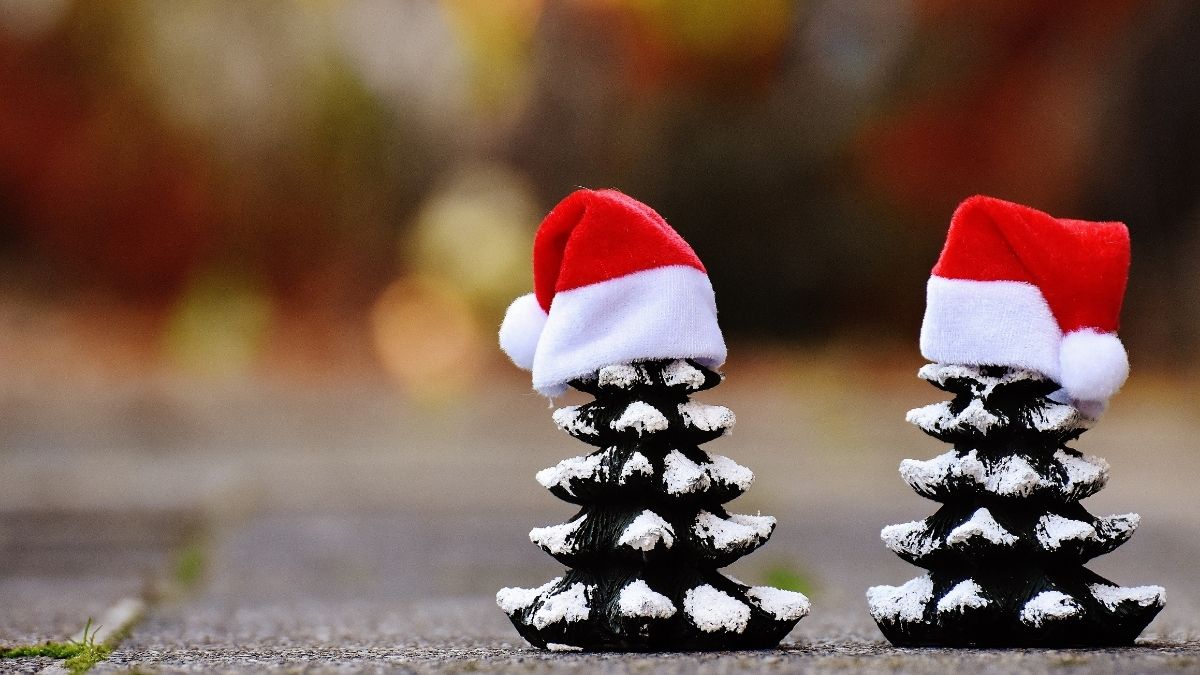 Hình ảnh cây thông Noel đội mũ đáng yêu